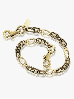 Vintage Design Gold C Purse Chain